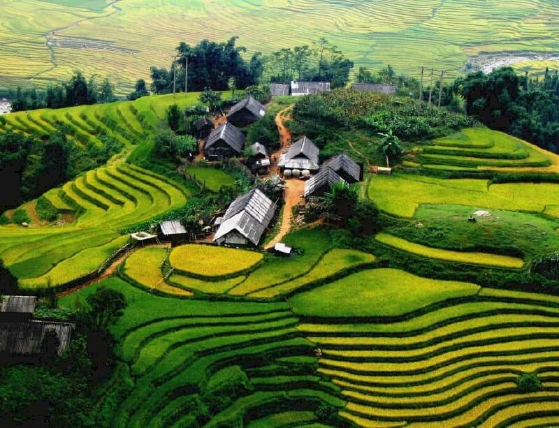 Tranh phong cảnh Sapa với cánh đồng ruộng bậc thang xanh mướt