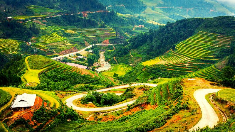 Tranh phong cảnh Sapa thanh bình nhìn từ trên cao