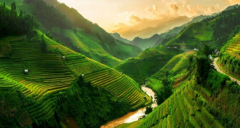 Tranh phong cảnh Sapa từng dãy núi, ngọn đồi nối nhau trùng điệp phủ cánh đồng ruộng bậc thang xanh mướt