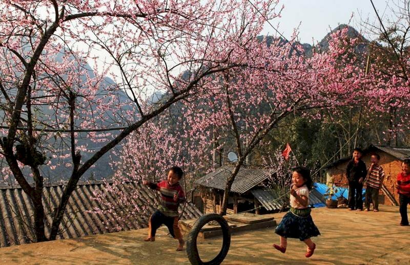 Tranh phong cảnh Sapa mùa Xuân 2 đứa trẻ đang nô đùa