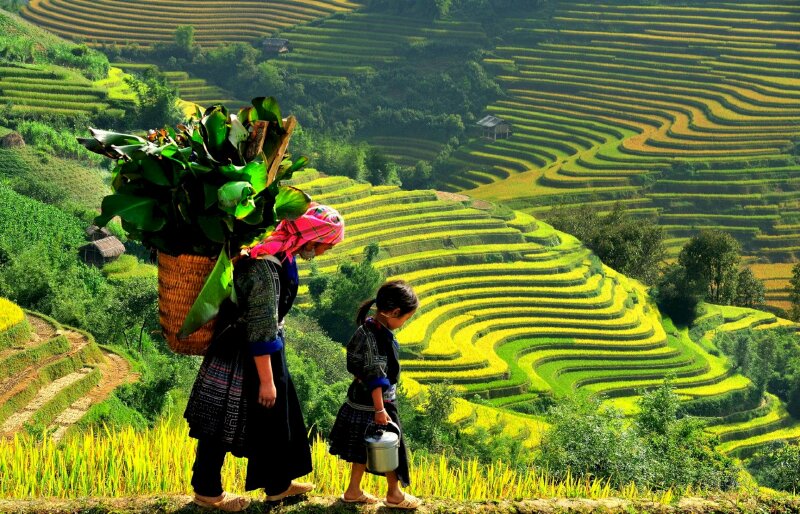 Tranh phong cảnh Sapa 2 mẹ con dắt nhau lên rẫy