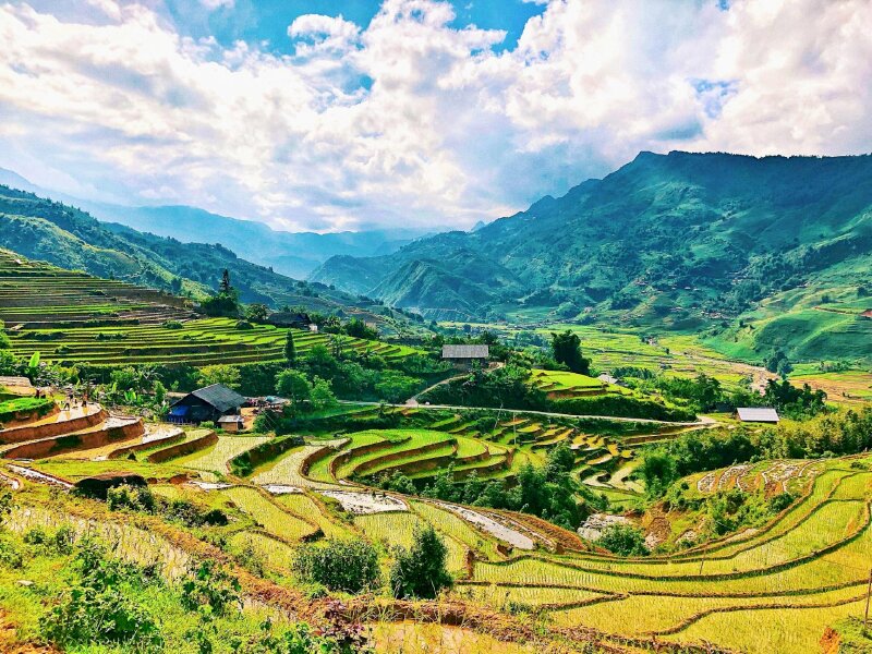 Tranh phong cảnh Sapa núi đồi trùng trùng điệp điệp với những dãy ruộng bậc thang phơi mình dưới nắng