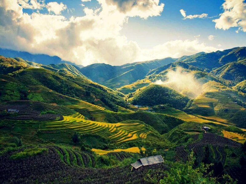 Tranh phong cảnh Sapa trong nắng mới