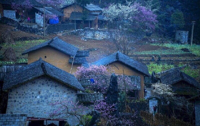 Phong cảnh ngôi làng nhỏ tại Hà Giang Tây Bắc những ngày xuân