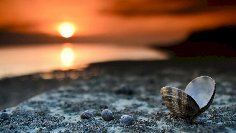 Tranh phong cảnh hoàng hôn màu đỏ rực trên biển