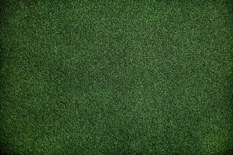 Tranh dán tường hình cây xanh tươi mát