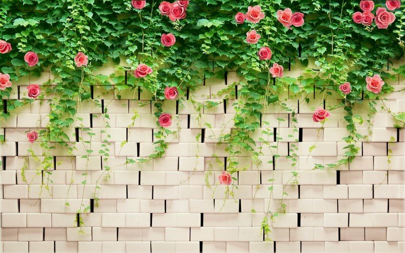 Tranh dán tường hoa hồng đơn giản mà đẹp