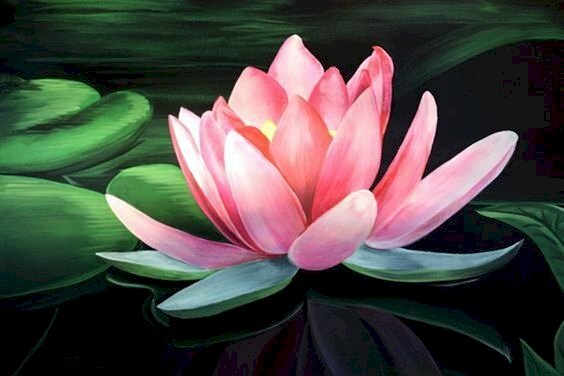 Tranh canvas hoa sen hồng đẹp giản dị