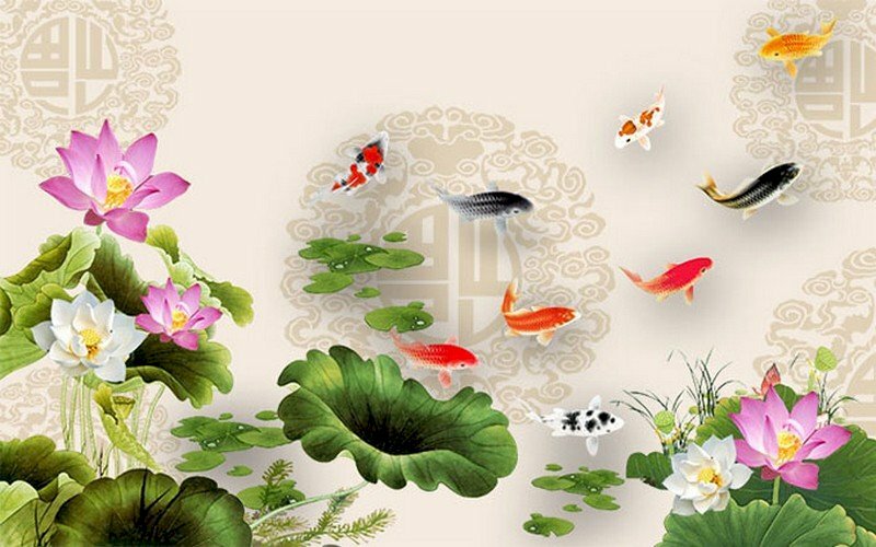 Tranh dán tường hoa sen và 9 con cá chép mang đến may mắn tài lộc
