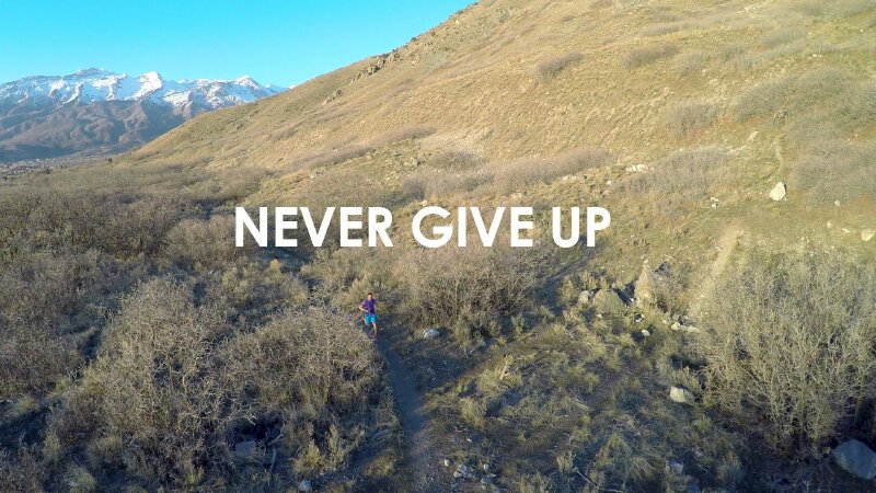 Tranh canvas tuyệt đẹp với dòng chữ "Never give up" không bao giờ bỏ cuộc
