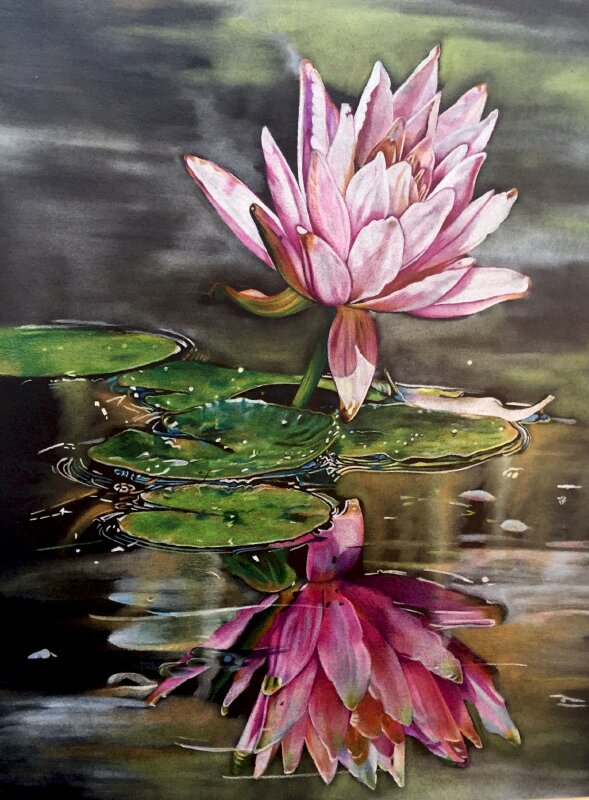 Tranh canvas hoa đẹp