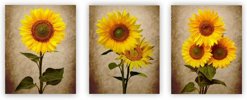 Bộ 3 tranh canvas hoa hướng dương giúp không gian phòng khách thêm rực rỡ