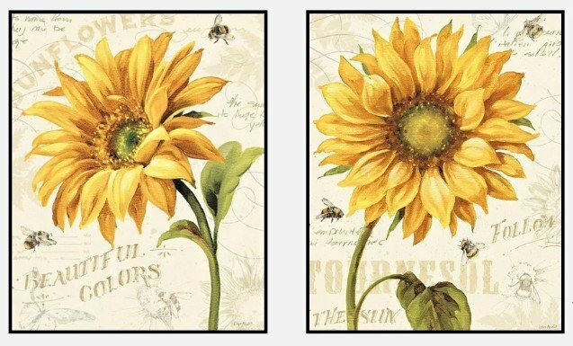 Mẫu bộ 2 tranh canvas hoa hướng dương đóng khung đen sang trọng