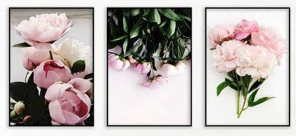 Bộ 3 tranh canvas hoa mẫu đơn khung đen sang trọng treo tường phòng khách