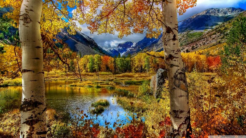 Bức tranh mùa thu canvas tuyệt đẹp và thanh bình