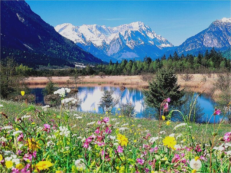 Tranh canvas phong cảnh rừng núi mùa xuân tuyệt đẹp