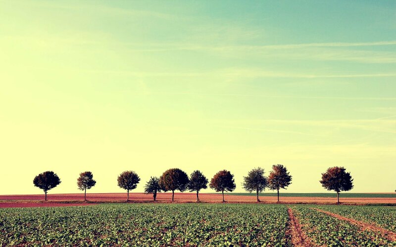 Tranh phong cảnh bầu trời bình yên nơi miền thôn quê