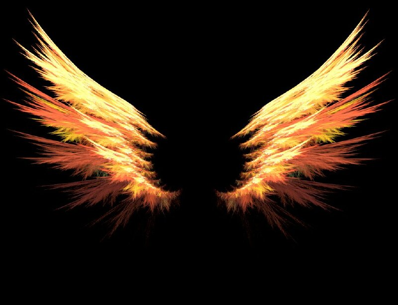 Tranh đôi cánh thiên thần lấy ý tưởng từ lửa