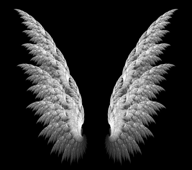 Tranh dán tường 3D đôi cánh thiên thần: Tranh dán tường 3D đôi cánh thiên thần sẽ mang đến cho bạn không gian sống với vẻ đẹp ấn tượng và đầy tưng bừng. Không chỉ là một hình ảnh tuyệt đẹp thu hút ánh nhìn mà còn ẩn chứa sự trường tồn của chính bạn.