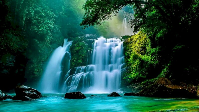 Tranh phong cảnh thác nước thiên nhiên trong một khu rừng xanh mát