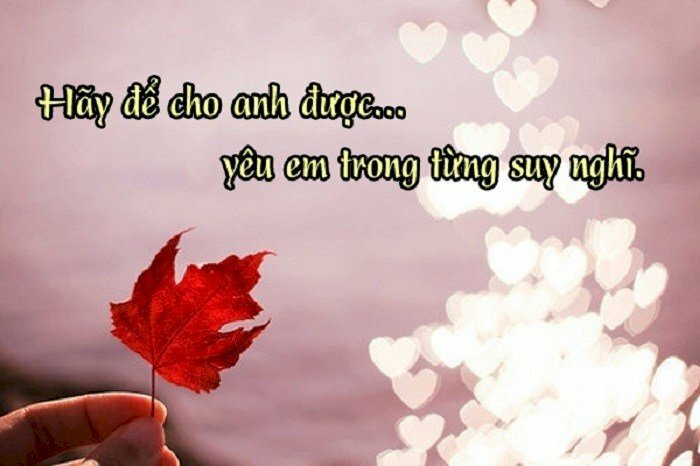 Hình ảnh mang chủ đề tình yêu hạnh phúc lãng mạn