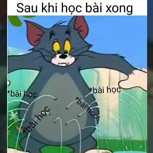 Top 101 Ảnh Meme Mèo Tom Hài Hước, Cute Tải Xuống Miễn Phí