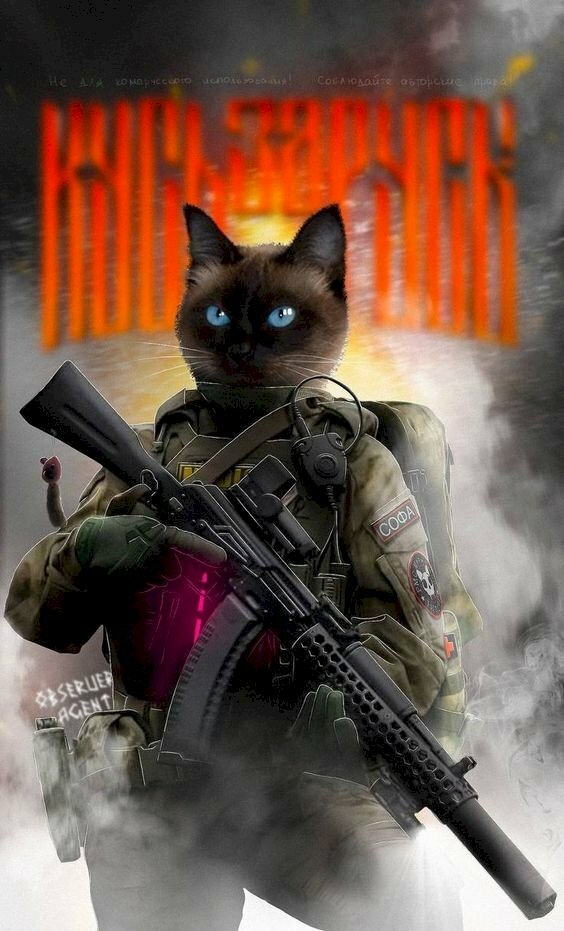 101 mẫu meme mèo cầm súng siêu ngầu, bá đạo, hài hước, tải miễn phí