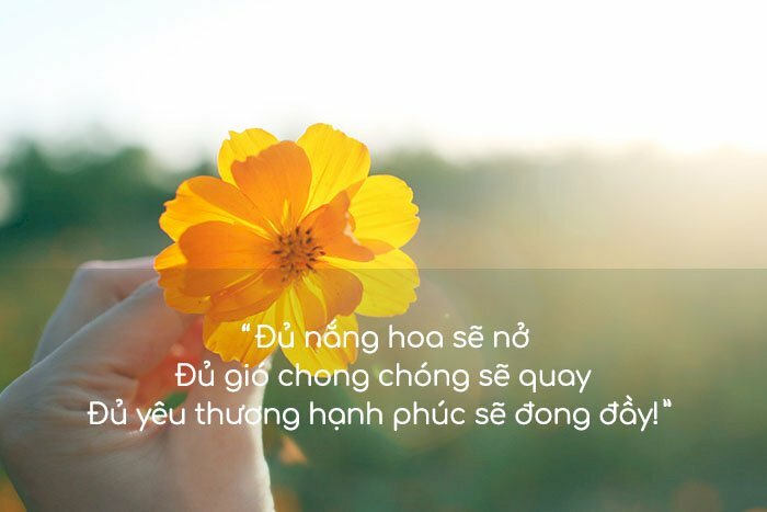 Hình ảnh tình yêu như nhánh hoa cỏ đại trong xanh và tinh khiết