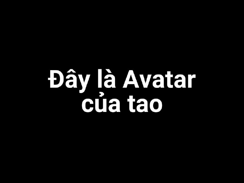 Ảnh avatar thể hiện bản quyền với dòng chữ "Đây là avatar của tao"