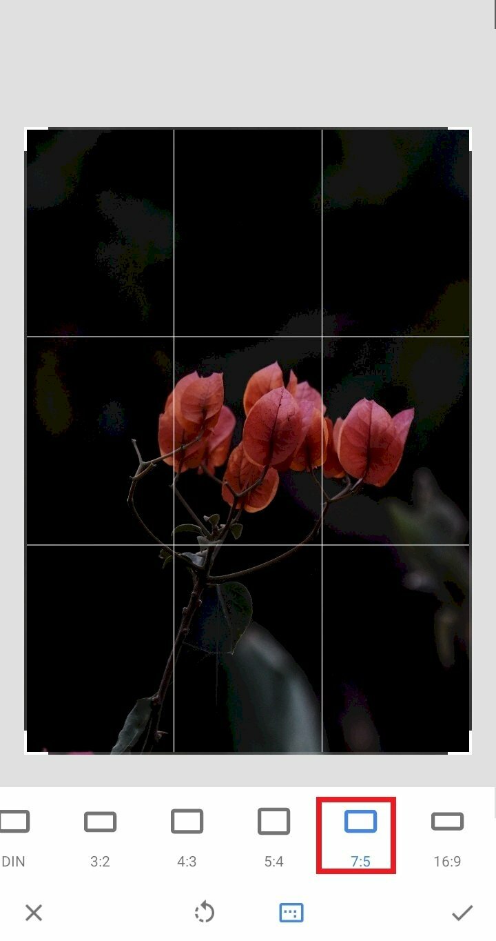 Giá thấp nhất phong cách ins kết hợp sáng tạo dây gai dầu ảnh Polaroid khung ảnh trang trí tường lưới ảnh đỏ miễn phí dây buộc