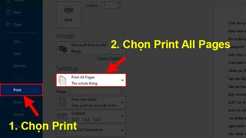 Chọn Print > Bấm vào Print All Pages