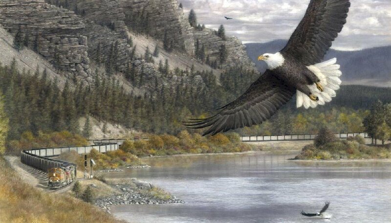 Tranh đại bàng tung cánh chao liệng trên bầu trời thật dũng mãnh