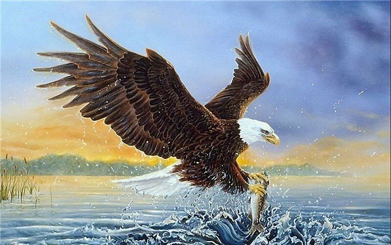 Ölgemäldebild eines Adlers, der seine Flügel ausbreitet, um Beute zu fangen