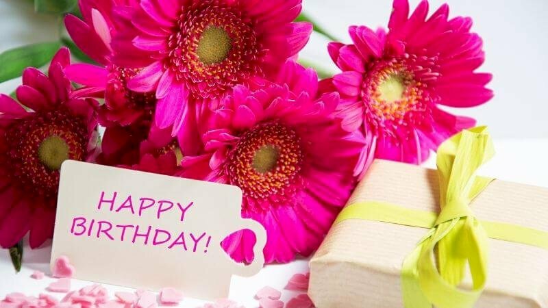 Ảnh hoa cúc đỏ với thiệp chúc mừng sinh nhật chị gái đơn giản mà đẹp00