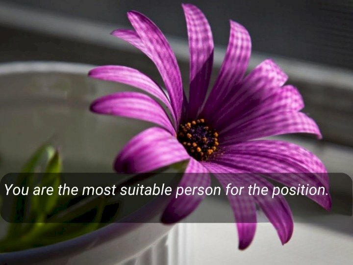 Hình ảnh bông hoa tím đẹp bình dị và lời chúc ý nghĩa