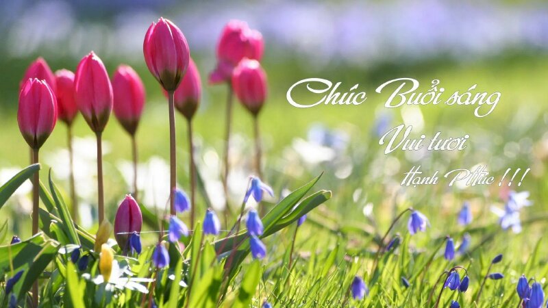 Hình ảnh chúc vợ yêu ngày mới vui tươi, hạnh phúc