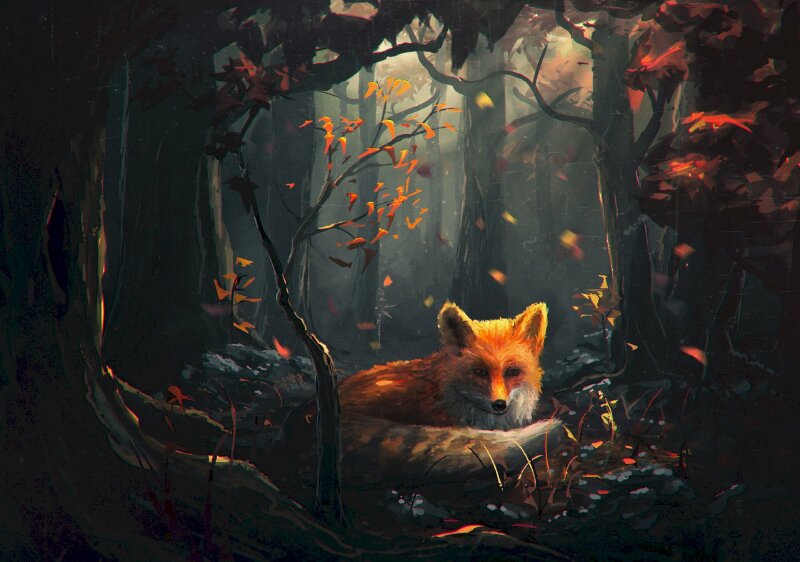 Hình ảnh con cáo Anime cuộn người nằm trong một khu rừng