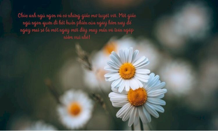 Hình ảnh với lời chúc ý nghĩa chúc ngủ ngon cho chồng