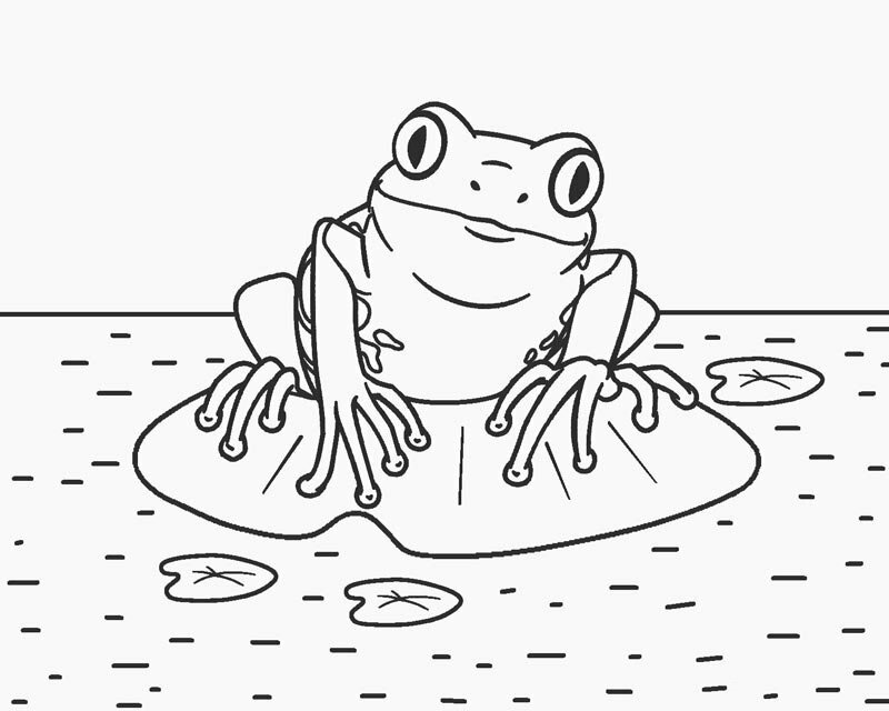 Cập nhật hơn 52 về tranh tô màu con ếch hay nhất  Du học Akina