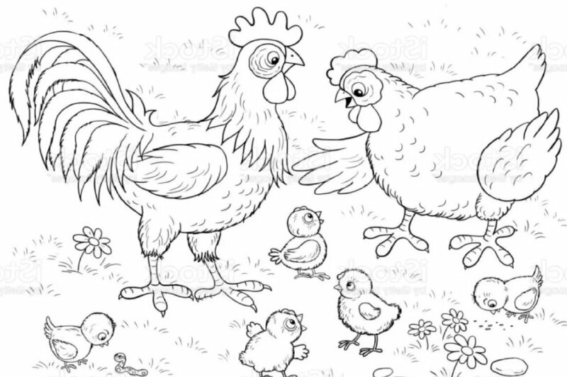 MaiThi Vẽ đàn gà  đàn gà trong sân  Thích sáng tạo  Yêu vẽ tranh  Draw  chickens4  YouTube
