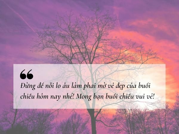 Hình ảnh lời chúc buổi chiều vui vẻ