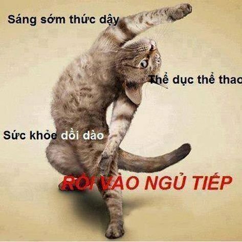 Hình ảnh chúc vợ yêu ngày mới hài hước