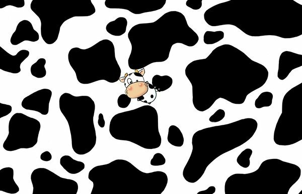 Hình ảnh Nền Con Bò Sữa, Con Bò Sữa Vector Nền Và Tập Tin Tải về Miễn Phí |  Pngtree