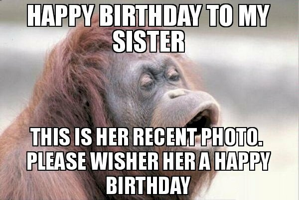 Hình ảnh chú khỉ chúc mừng sinh nhật chị gái hài hước