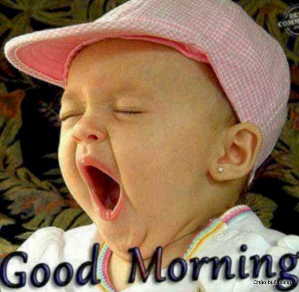 Hình ảnh chúc vợ yêu ngày mới dễ thương hài hước 