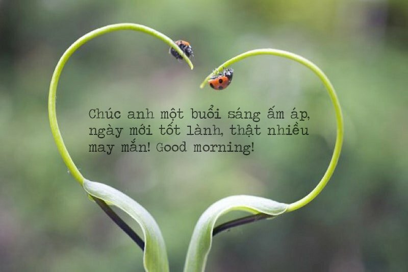 Hình ảnh chúc ngày mới tốt lành cho anh người yêu 