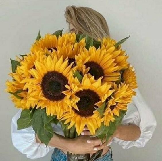 Cách tạo dáng với bó hoa hướng dương đẹp bằng cách ôm bó hoa trước mặt và để cho bó khoa che hết mặt. 