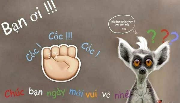 Hình ảnh chúc vợ yêu ngày mới vui vẻ hài hước