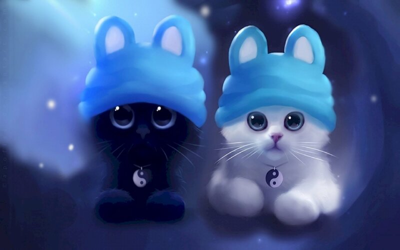 Sưu tập 600+ hình nền anime mèo cute Được yêu thích nhất