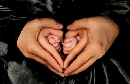 Ý tưởng chụp ảnh gia đình độc đáo hình bàn tay cả nhà xếp hình trái tim lòng ghép vào vào nhau. 